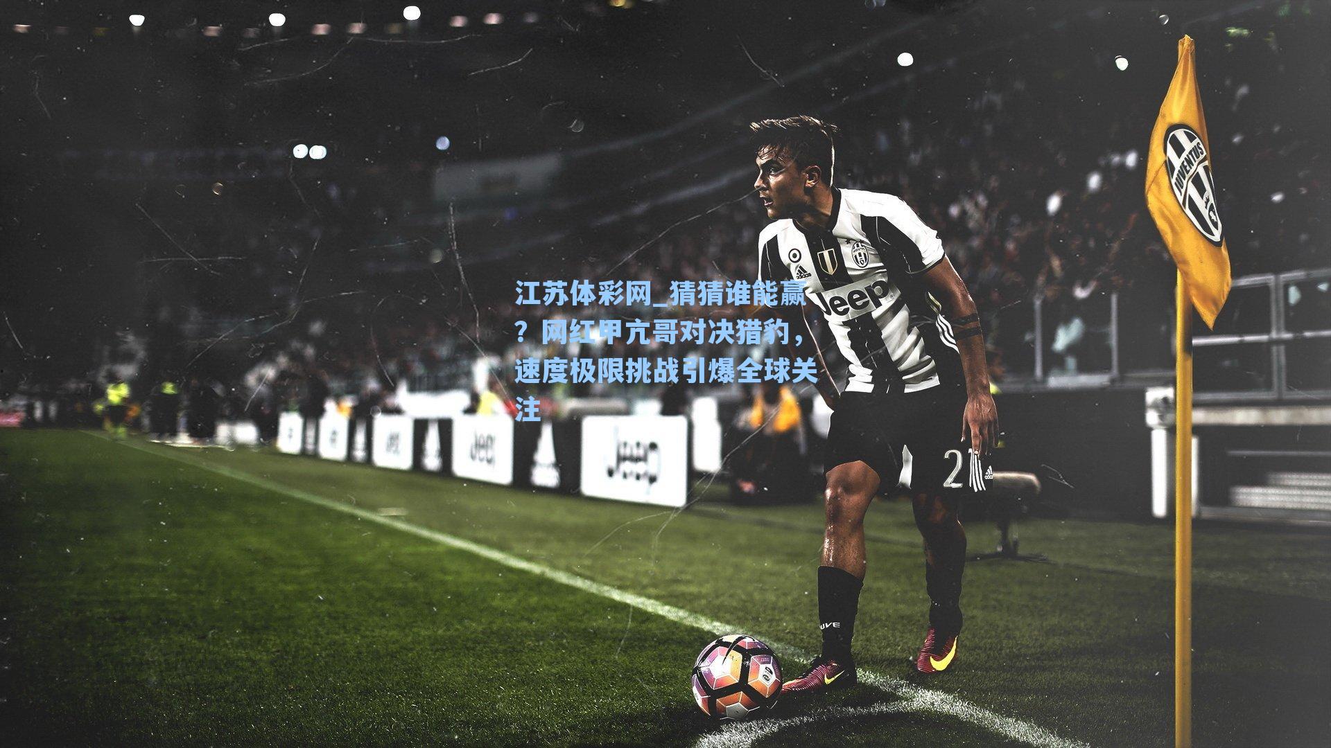 猜猜谁能赢?网红甲亢哥对决猎豹,速度极限挑战引爆全球关注