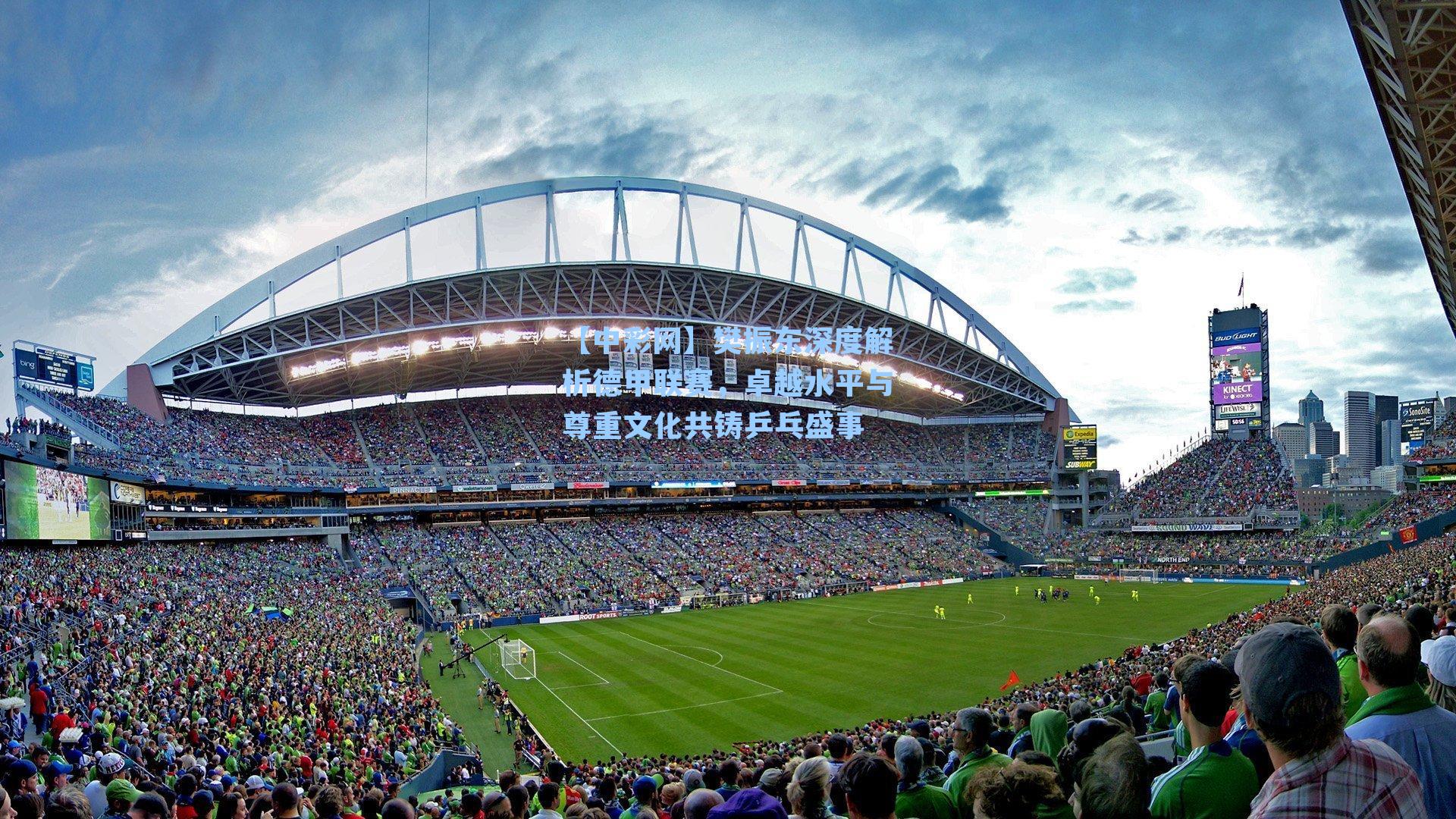 樊振东深度解析德甲联赛,卓越水平与尊重文化共铸乒乓盛事