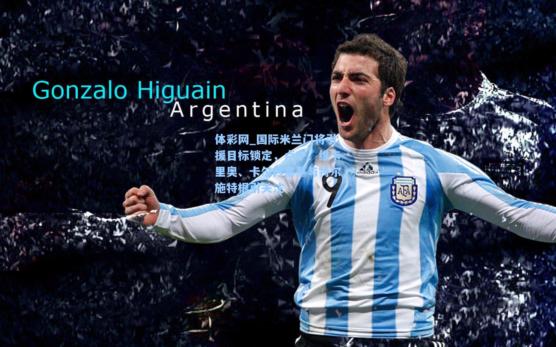 国际米兰门将引援目标锁定,卢宁、维卡里奥、卡尔内塞基与特尔施特根引关注