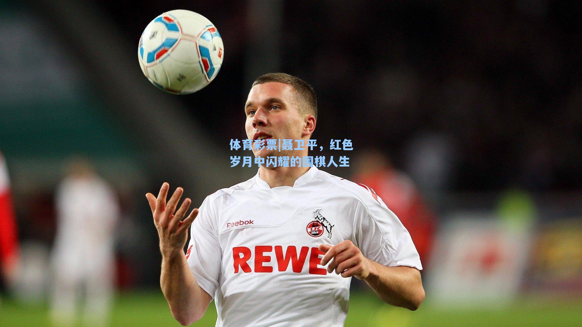 聂卫平，红色岁月中闪耀的围棋人生