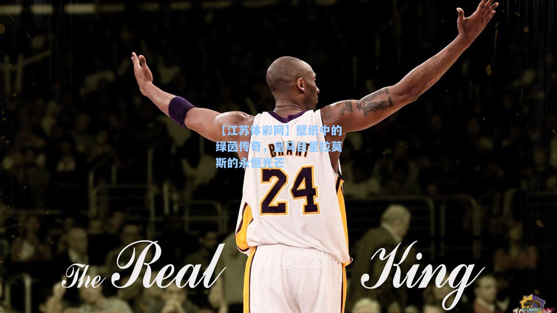 壁纸中的绿茵传奇,皇马巨星拉莫斯的永恒光芒