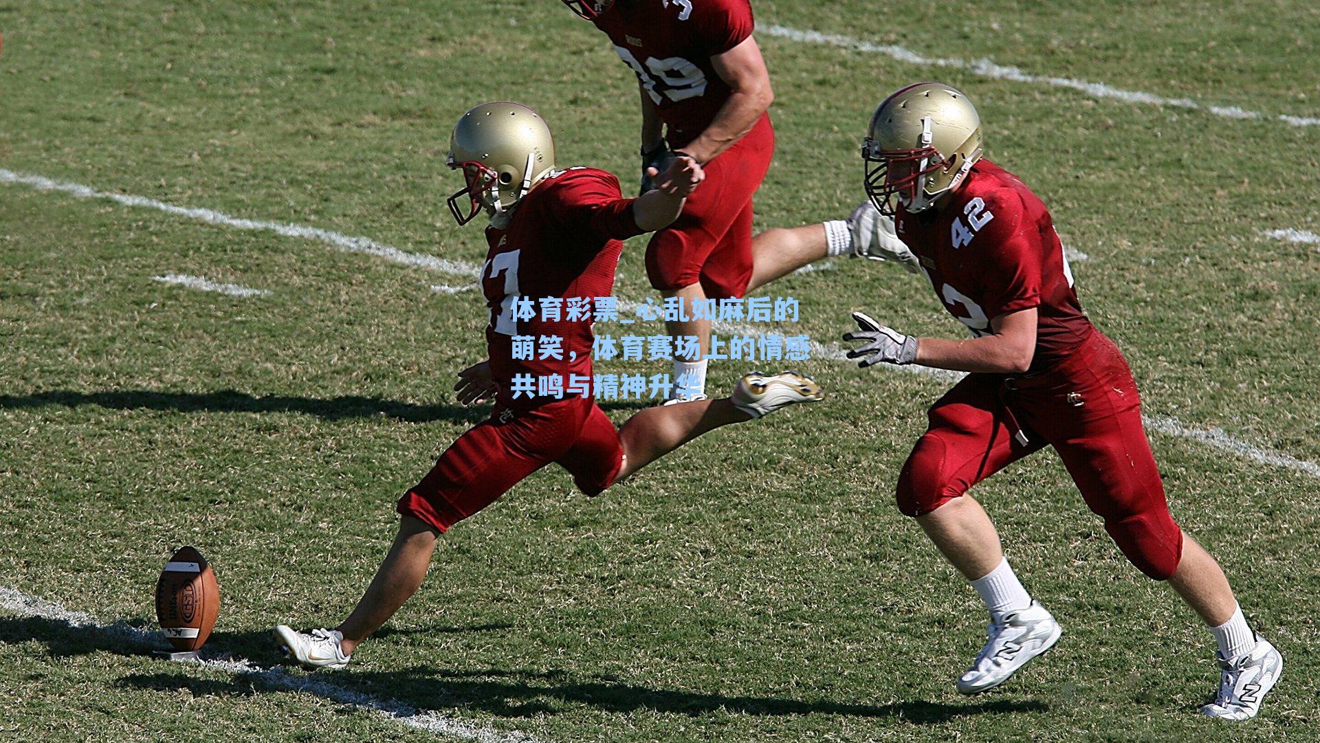 心乱如麻后的萌笑,体育赛场上的情感共鸣与精神升华