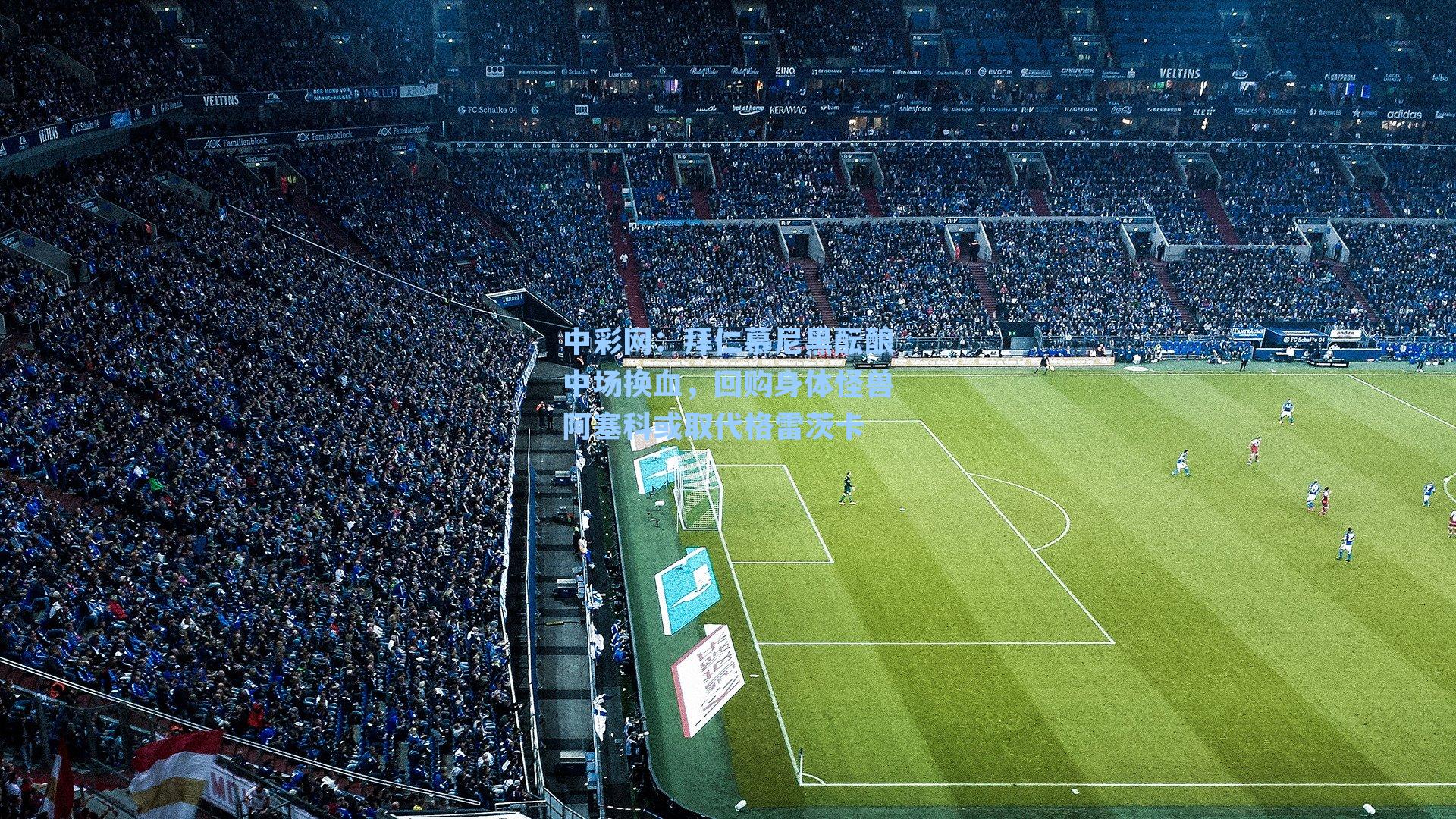 拜仁慕尼黑酝酿中场换血，回购身体怪兽阿塞科或取代格雷茨卡